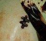 saw6_07