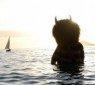 wherethewildthingsare_52