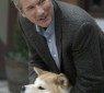 Hachiko_scene07