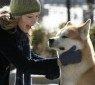 Hachiko_scene11