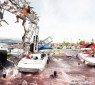piranha3d_02