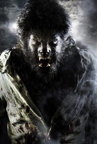 Uma das imagens do filme The Wolfman