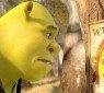 shrek4-14