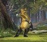 shrek4-21