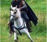 robin_hood-09