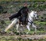 robin_hood-11