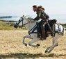 Robin_Hood_27