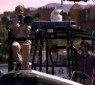 piranha3d_25