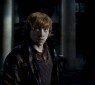 harrypotter7_48 harrypotter7_48