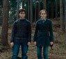 harrypotter7_55 harrypotter7_55