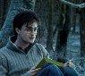 harrypotter7_57 harrypotter7_57