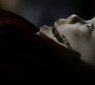 Mortal-Kombat-Legacy