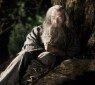 hobbit2