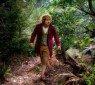 Hobbit
