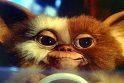 Remake do clássico Gremlins pode ser produzido por Seth Grahame-Smith