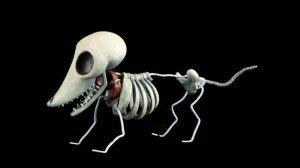 smithsonian_wb_tim_burton_skeleton_dog