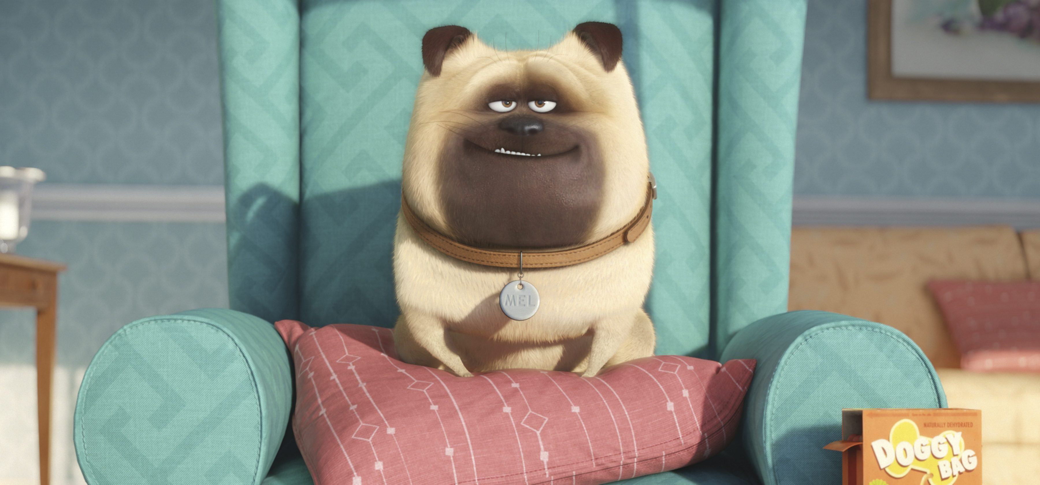 Confira dois comerciais da animação Pets: A Vida Secreta dos Bichos