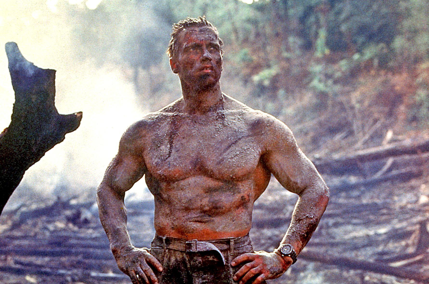 Arnold Schwarzenegger pode fazer parte do novo filme da franquia