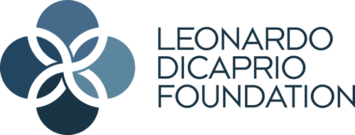 LDF-big-logo