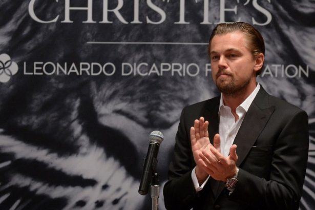 Leonardo dicaprio foundation что это