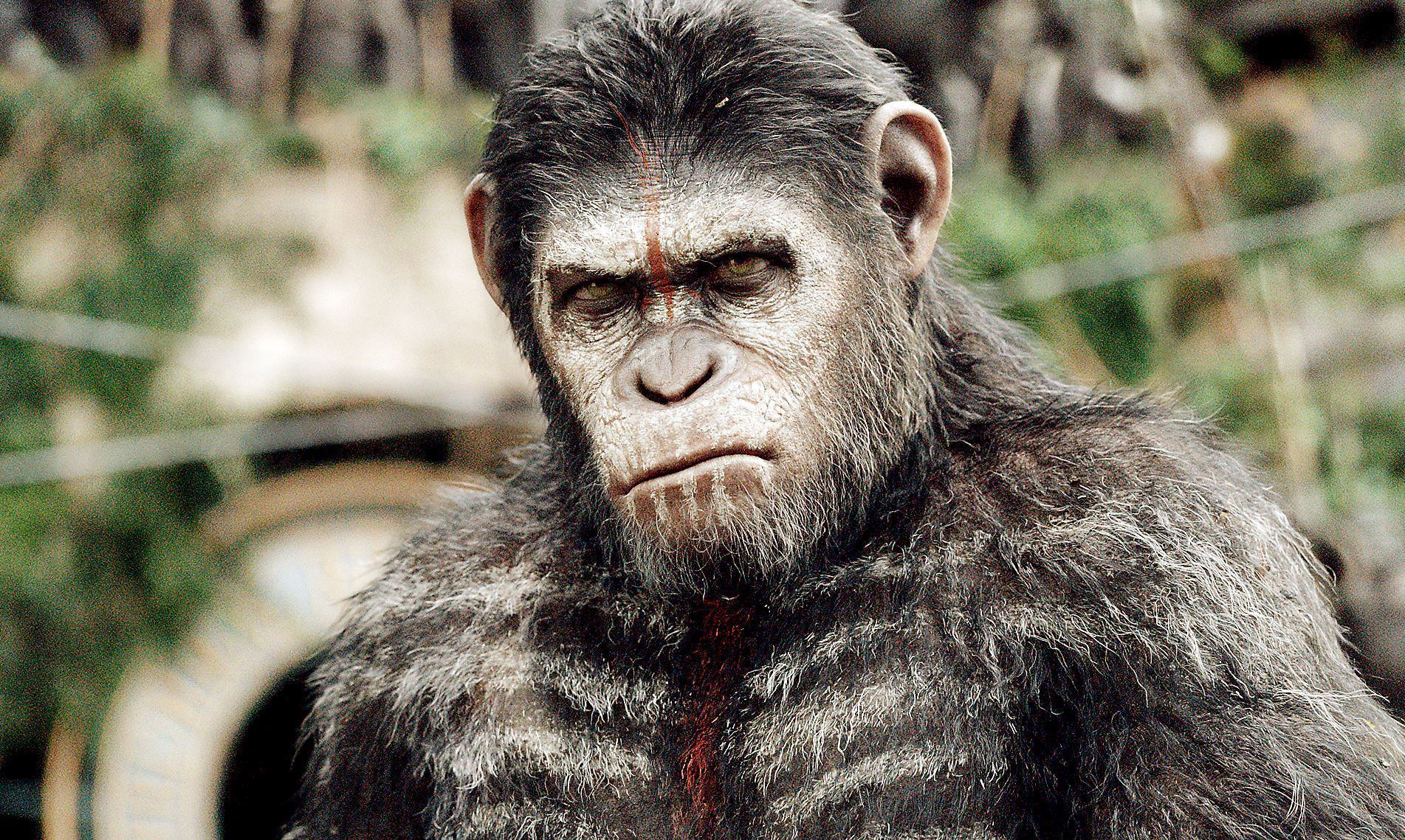 Planeta dos Macacos: A Guerra | Veja pôster, sinopse e diretor fala de universo cinematográfico