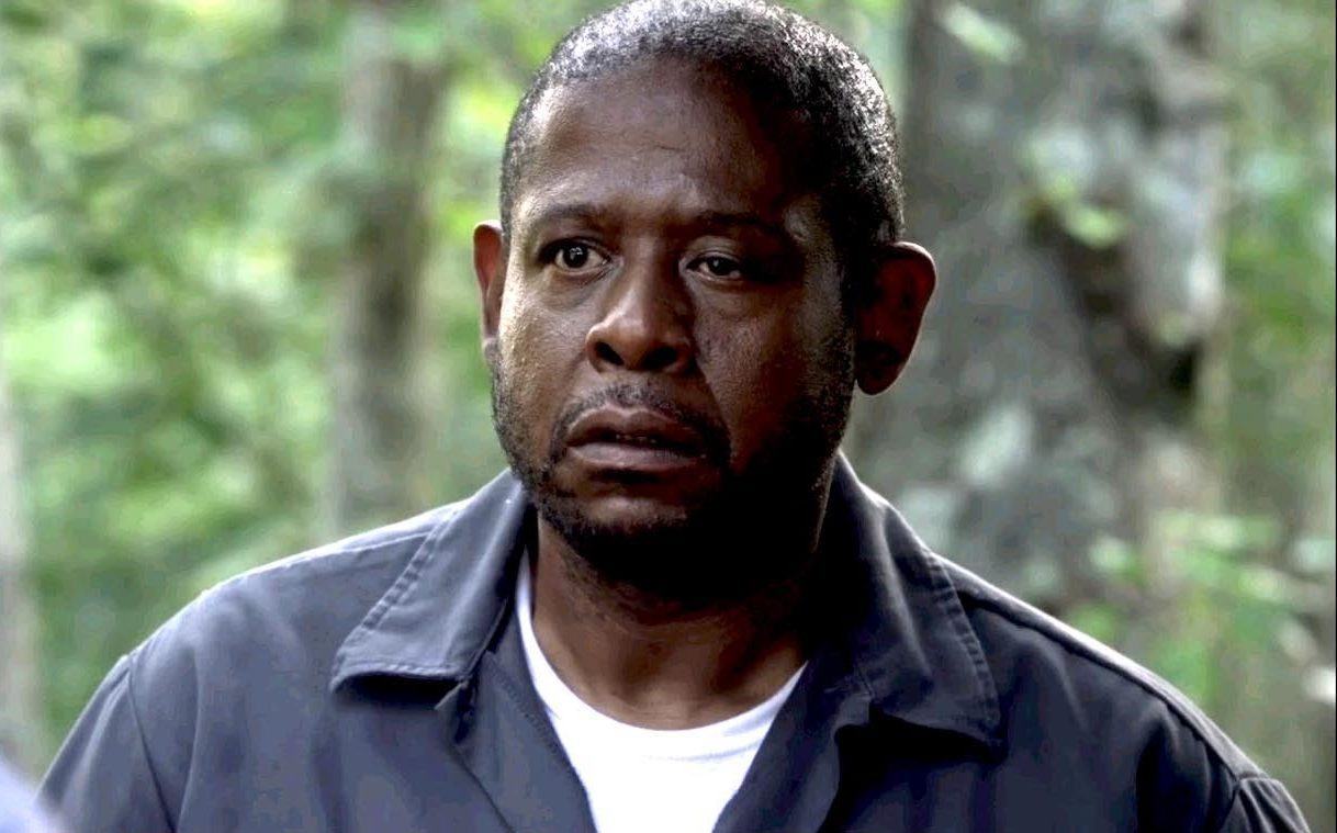 Pantera Negra | Forest Whitaker e mais três nomes entram para o elenco do filme
