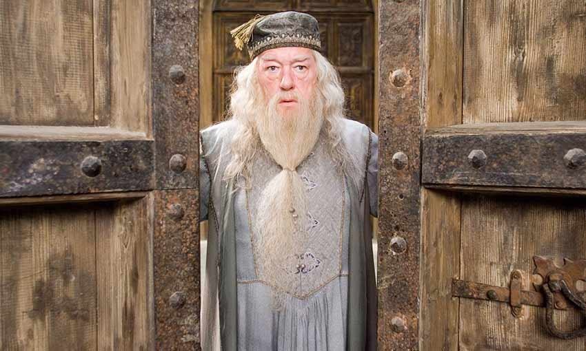 Dumbledore é confirmado em Animais Fantásticos e Onde Habitam 2