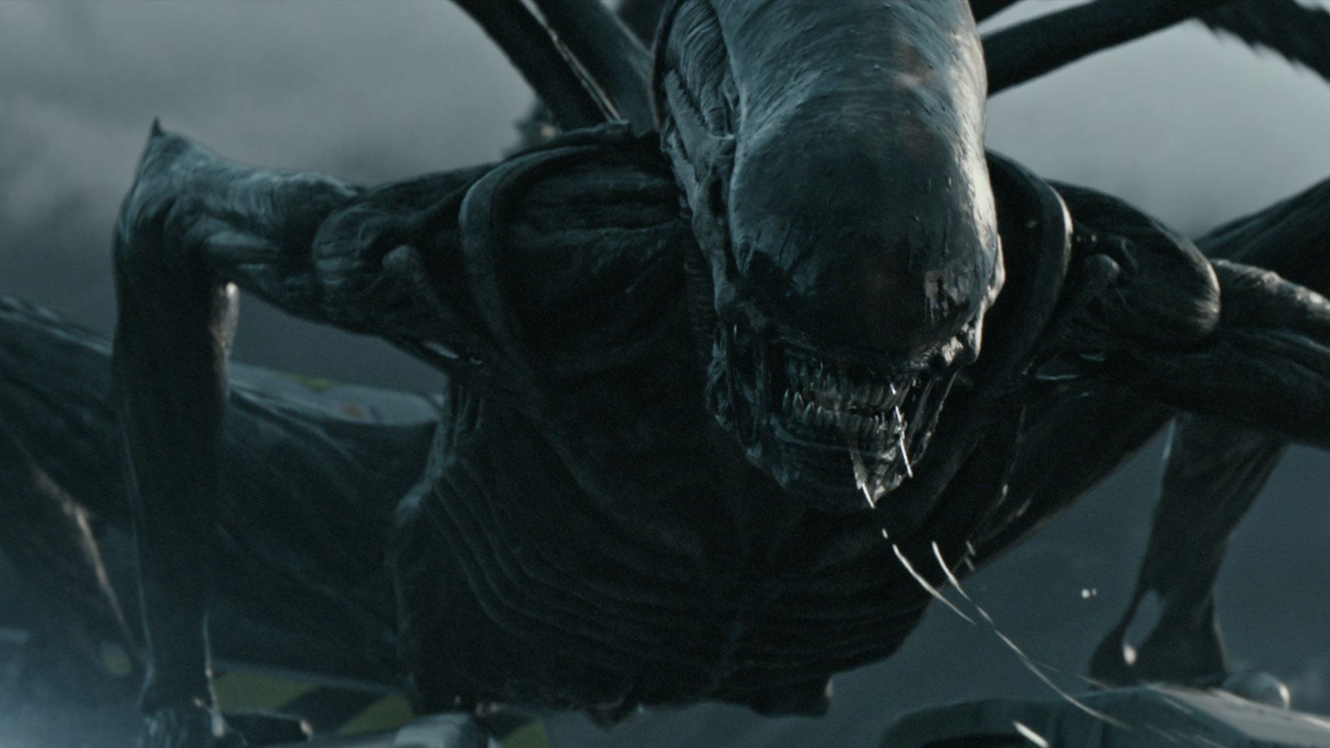 Alien: Covenant | Prévia promete contar origem dos xenomorfos