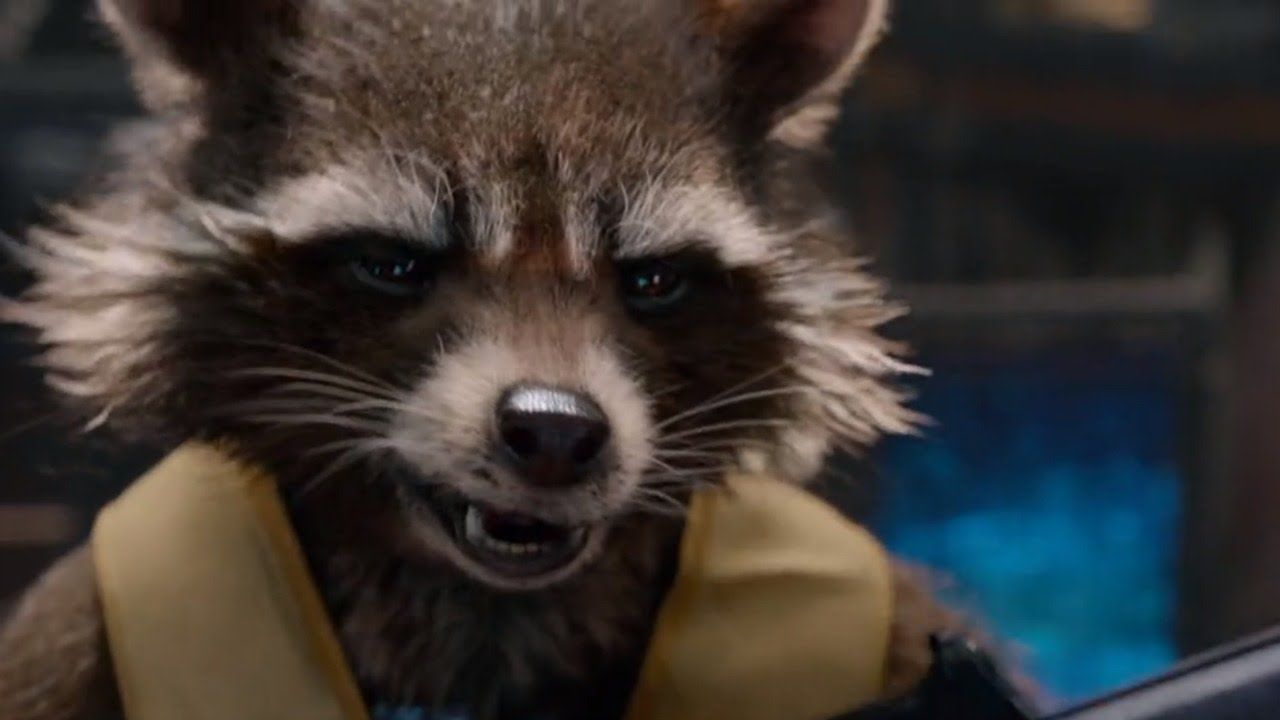 James Gunn afirma que passado de Rocket Raccoon será explorado no futuro