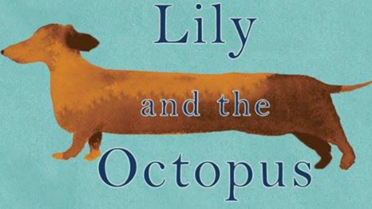 Lily and the Octopus | Amazon adquire os direitos para adaptar obra de Steven Rowley