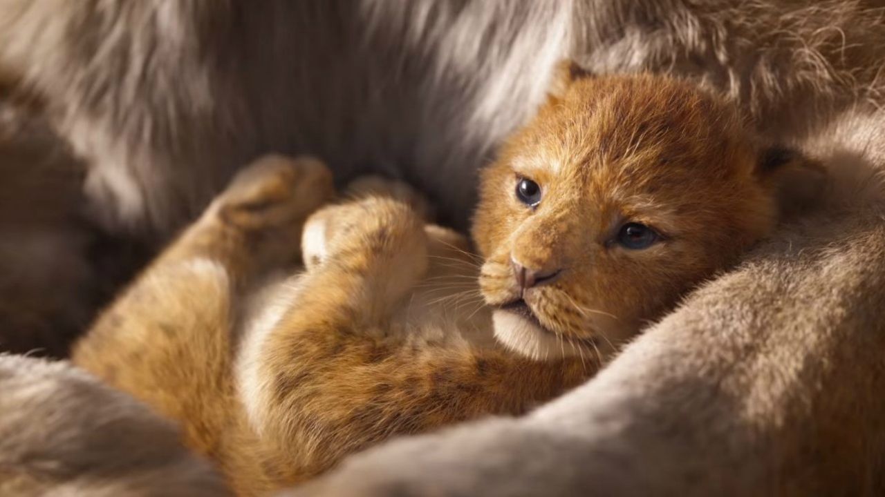 O Rei Leão | Nova versão não será uma cópia exata do filme original