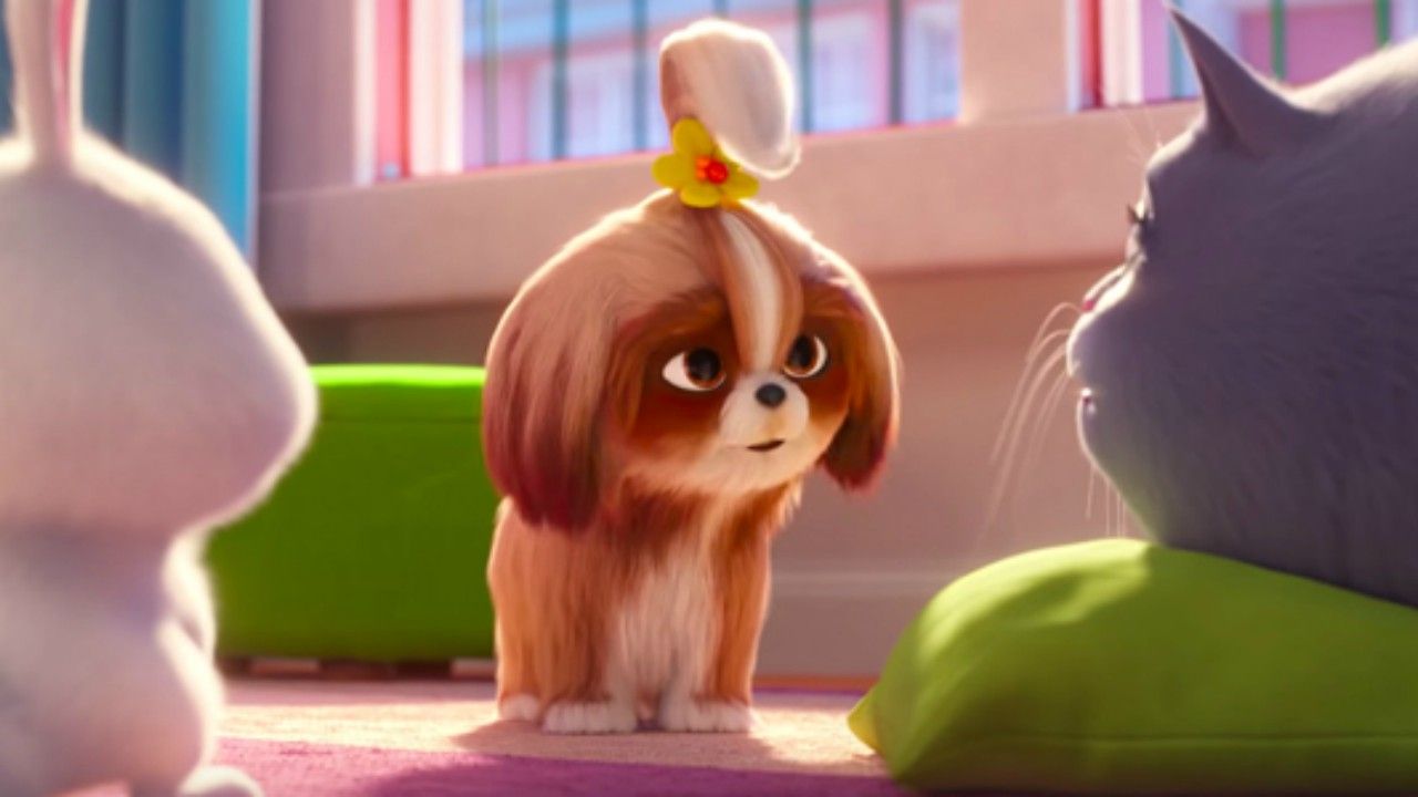 Pets – A Vida Secreta dos Bichos 2 | Novo trailer apresenta a cachorrinha Daisy, com voz de Tiffany Haddish