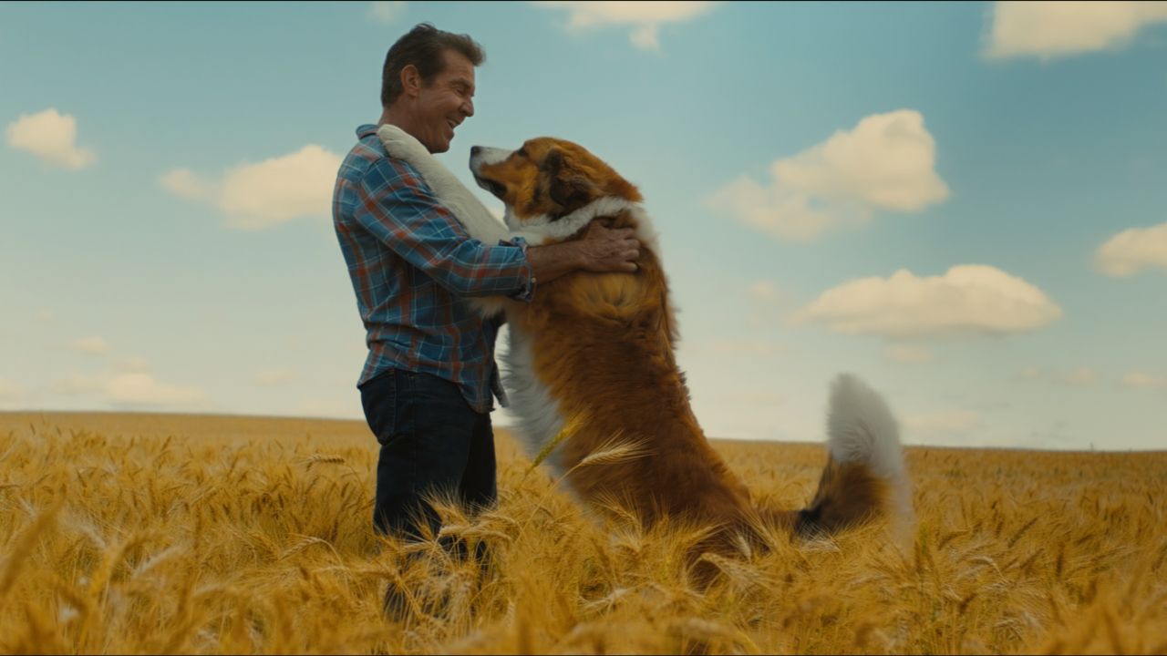 Juntos Para Sempre | Sequência de Quatro Vidas de um Cachorro tem trailer divulgado