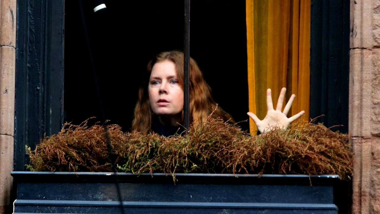 The Woman in the Window | Adaptação de livro estrelado por Amy Adams é adiado para 2020