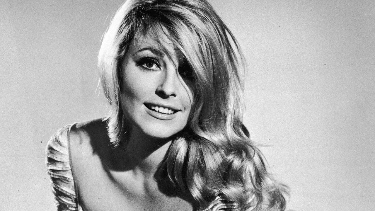 Шэрон тейт фото. Шарон Тейт. Шэ́рон Мари́ Тейт Пола́нски. Sharon Tate +18.