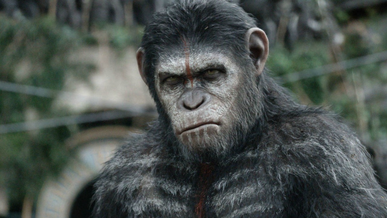 Planeta dos Macacos | Continuação da franquia deve começar produção virtual em breve, segundo diretor