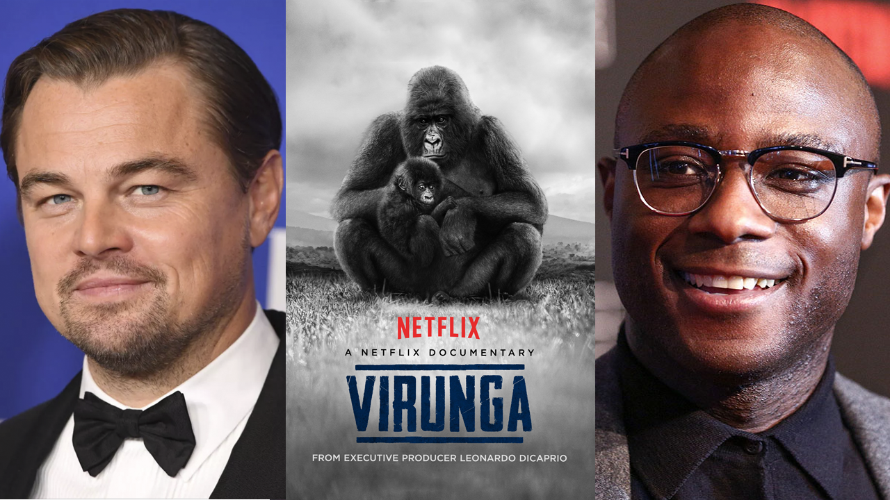 Virunga | Com produção de Leonardo DiCaprio, Barry Jenkins irá adaptar documentário da Netflix