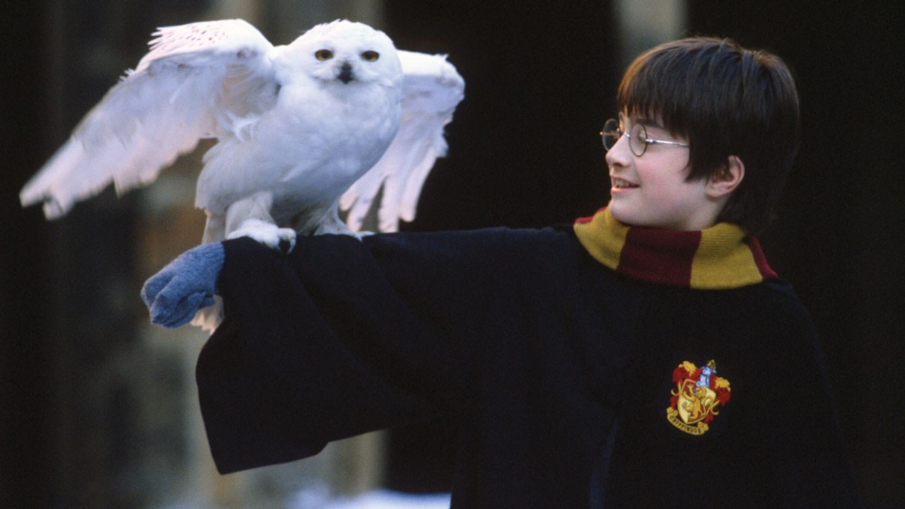 Harry Potter e a Pedra Filosofal alcança 1 bilhão de bilheteria com relançamento na China