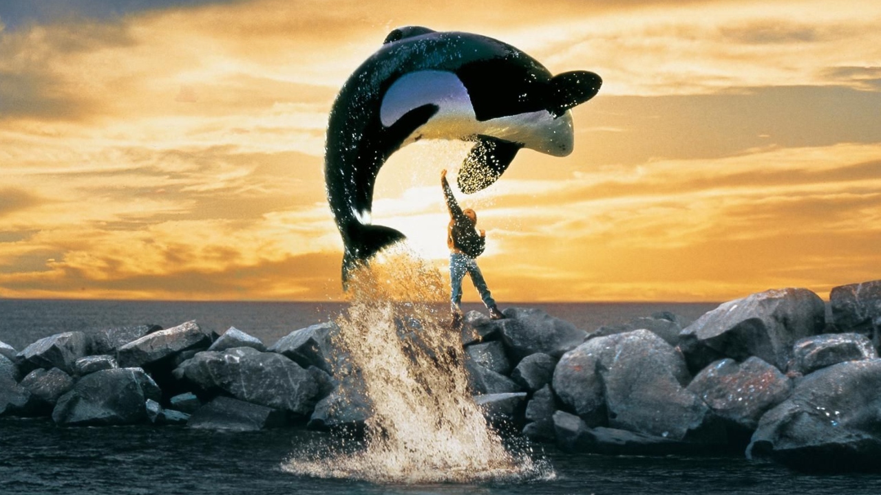 Free Willy | Clássico dos anos 90 vai ganhar novo filme produzido pelos irmãos Russo